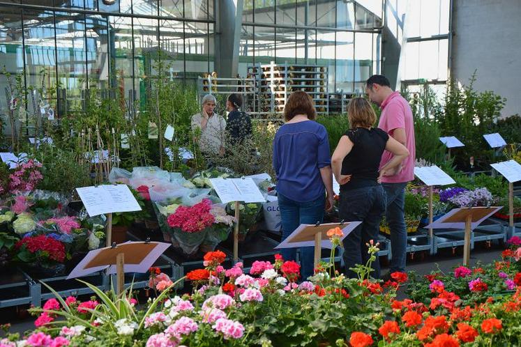 La deuxième édition de VégéDirect a eu lieu mardi 21 avril, au centre horticole régional Floriloire, aux Ponts-de-Cé.