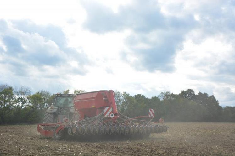 Semis de triticale en semis simplifié à Saint-Clément de la Place, sur un précédent maïs grain.