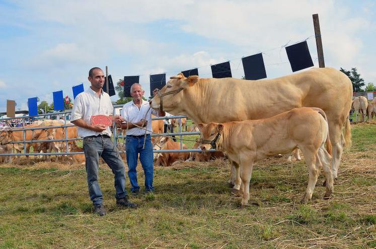 Gitane, de l’élevage Rothureau, remporte le prix de Championne suprême au concours départemental de blondes d’Aquitaine.
