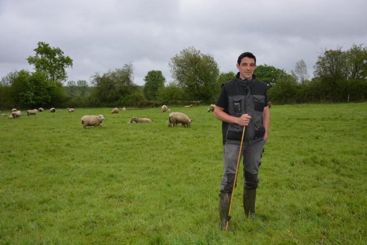 Morgan Mercier s'est installé en novembre 2016 à Marcé. à la Gallichère, les moutons ont remplacé les chèvres. Celles-ci allaient très peu au pâturage. L'herbe sur les prairies permanentes était très dégradée. « Après 3 années de pâturage, on est sur quelque chose de passable. »