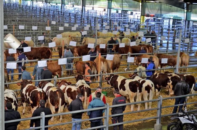 Les éleveurs arrivent le matin entre 8 h et 9 h 30 pour installer les animaux. La vente, elle, s’est déroulée de 10 h à 13 h.