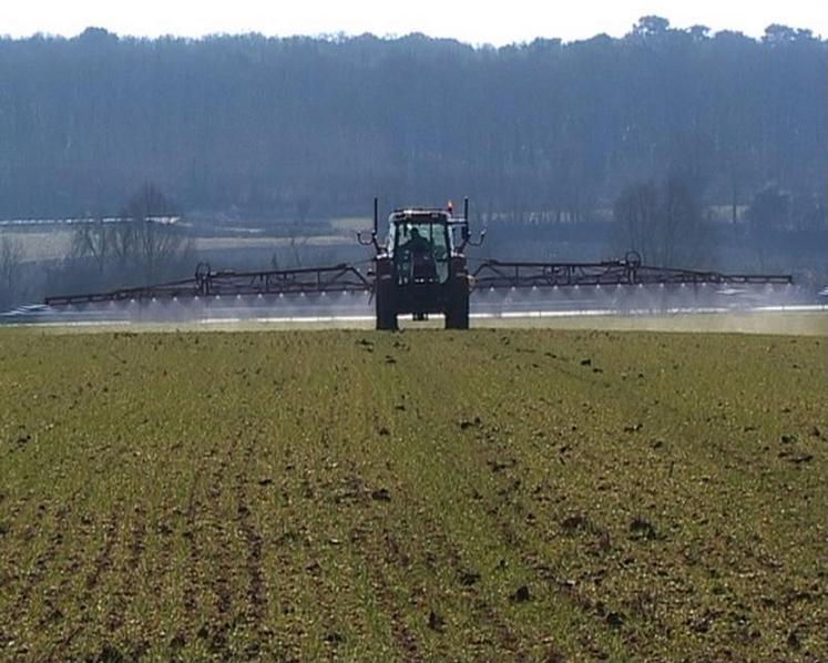 D'après le ministère de l'Agriculture, le projet d'arrêté sera « mis à disposition du public sur internet d'ici la fin octobre ».