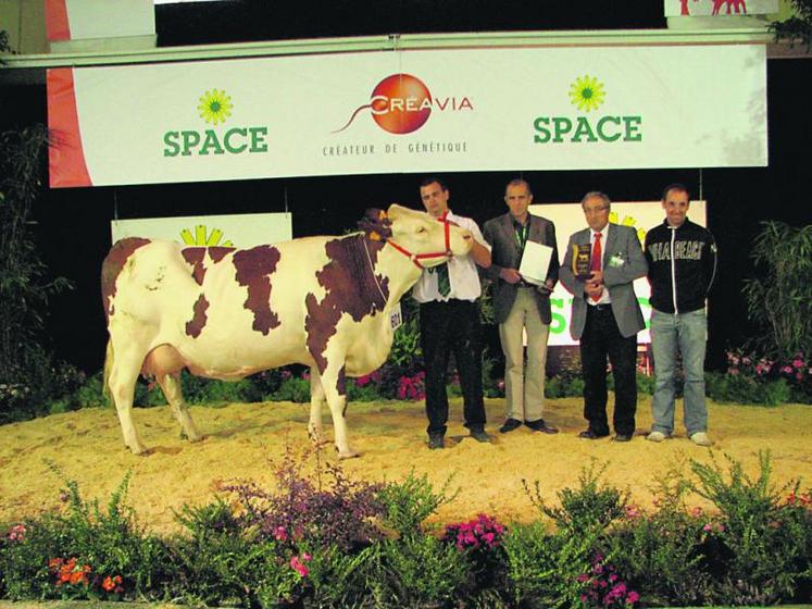 Sortie grande championne au Festi’Élevage de Chemillé, 
Beautée s’est distinguée comme la meilleure jeune vache du Space.