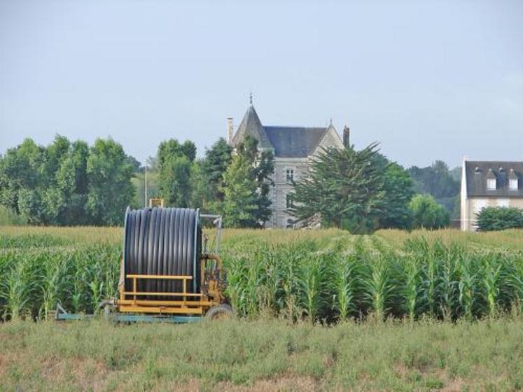 L’irrigation va s’étaler durant tout l’été pour répondre aux besoins des cultures spécialisées.