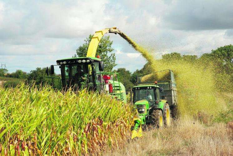 Les machines de la Cuma de La Pommeraye tournaient à plein régime la semaine dernière. Sur les terres d’Anthony Gallard, à Bourgneuf-en-Mauges, le rendement devrait avoisiner les 10 tonnes de MS/hectare.