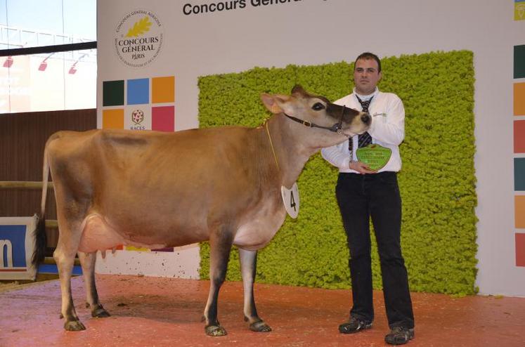 En race jersiaise, la SCEA Gaborit, représentée par Pierre-Yves Gaborit, remporte le prix de la section jeunes vaches avec Galaxie.