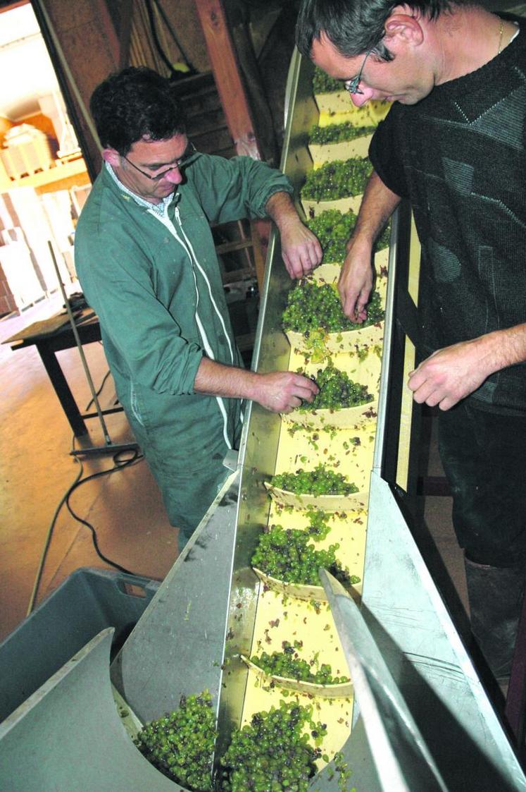 Les 2009 en Val de Loire : un millésime magique à bien des égards.