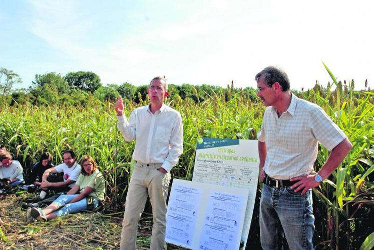 Jean-Louis Herin (Semental) et Jean-Michel Lamy (Trinos). Les besoins en eau du sorgho sont de 30 à 40 % inférieurs à ceux du maïs.