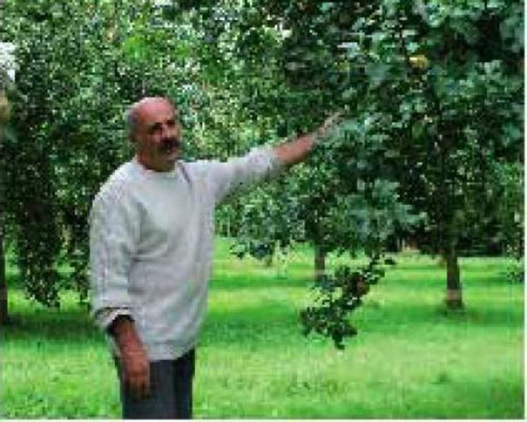 Jean-Louis Lardeux a collecté une centaine de variétés de pommes dans le verger de la Hanère, à Aviré. Chaque semaine, il fait découvrir une d’entre elles à ses clients sur un marché.