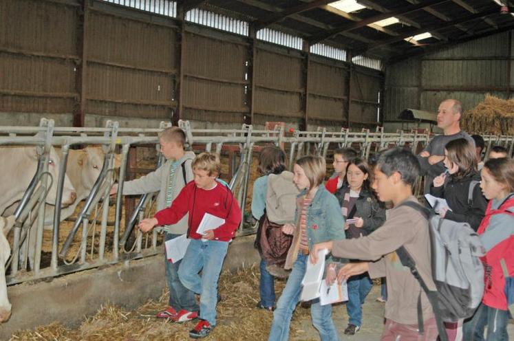 Au Gaec de l’Égrasseau, les questions ont fusé de la part des écoliers.