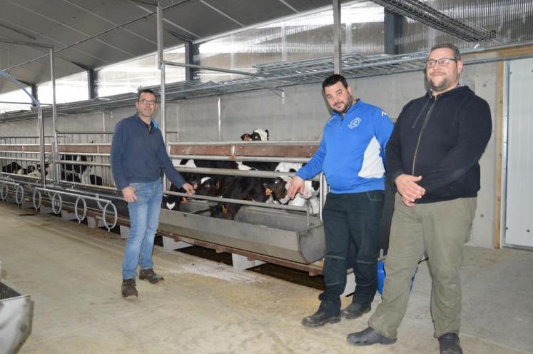 Les 3 éleveurs de veaux de boucherie apprécient leurs conditions de travail dans le nouveau bâtiment. De gauche à droite : Bertrand Delanoë, Mathieu 
Delanoë et Julien Dersoir.