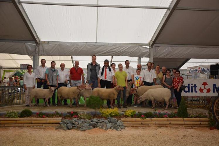 Les champions et championnes avec les éleveurs, sur le grand ring, dimanche.