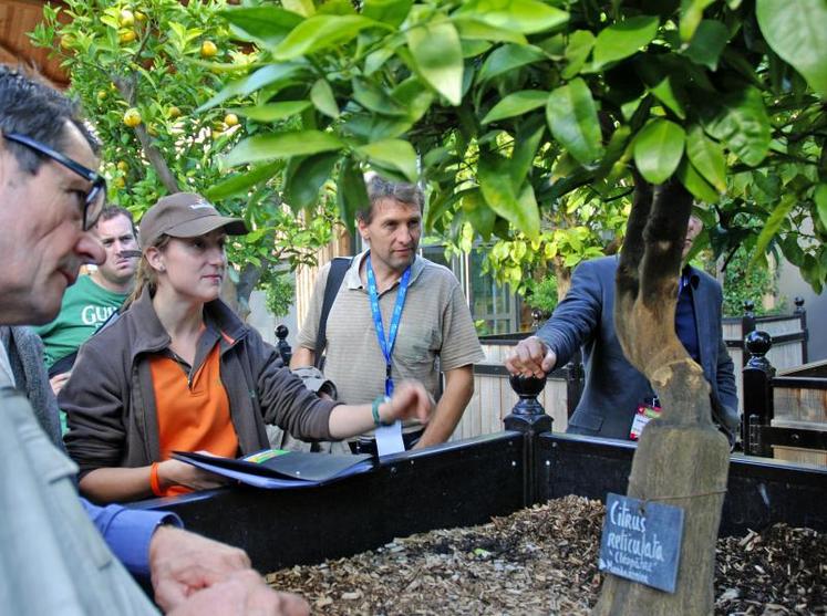 Christine Cathrin, en charge de la gestion sanitaire à Terra Botanica, est au petit soin avec les végétaux.