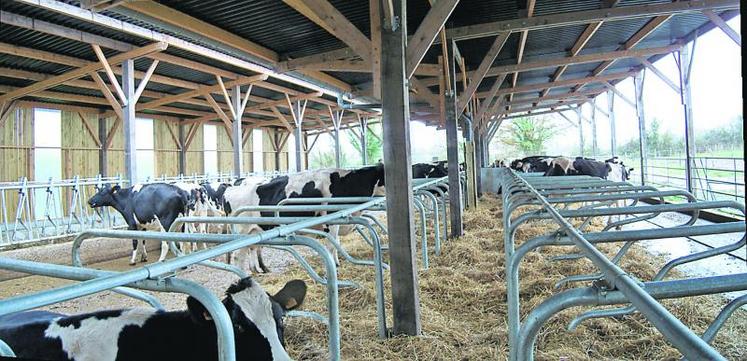 Chantier de réfection des sols des silos avec enrobé (ferme expé. des Trinottières – CA49)