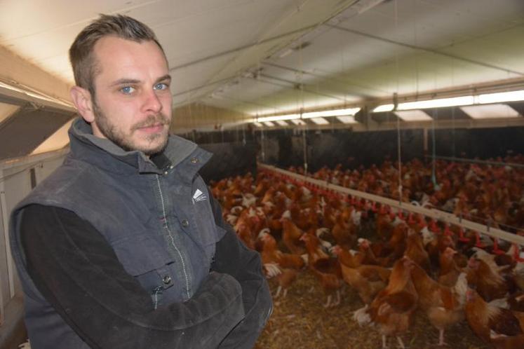 Romain Beaupère élève des chapons pour les fêtes de fin d’année. Ses chapons seront abattus à 155 jours exactement. Ils sont en finition actuellement, en bâtiment et à la lumière naturelle, pour assurer leur bien-être.