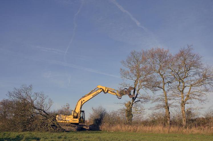 Montée sur chenilles, la pince coupante avec tronçonneuse conçue par Antoine Gaudin (SARL Gaudin - Le Fuilet) emporte les branches avec une étonnante rapidité. Coût horaire : 135 euros HT, plus les frais de déplacement.