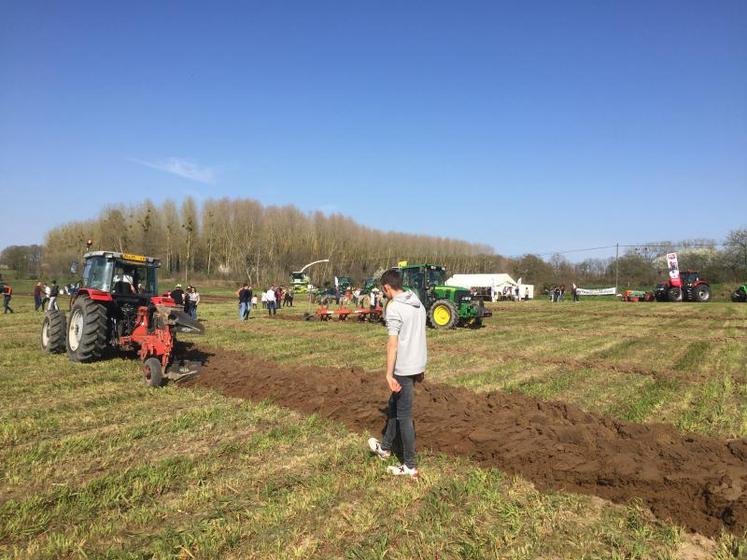 20 personnes ont participé au concours de labour du Vieil-Baugé. 
Le concours était jugé par France Labour.