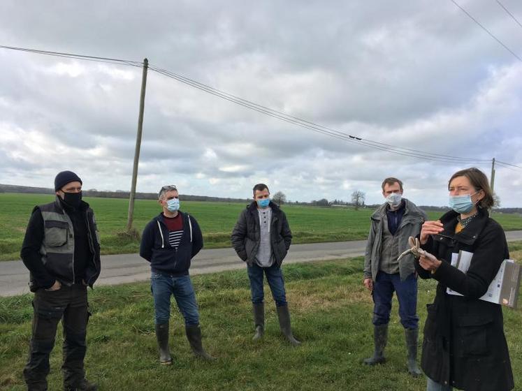 Sylvie Desgranges, chargée d’études à la LPO Anjou, explique aux agriculteurs le cycle de vie d’une chauve-souris.