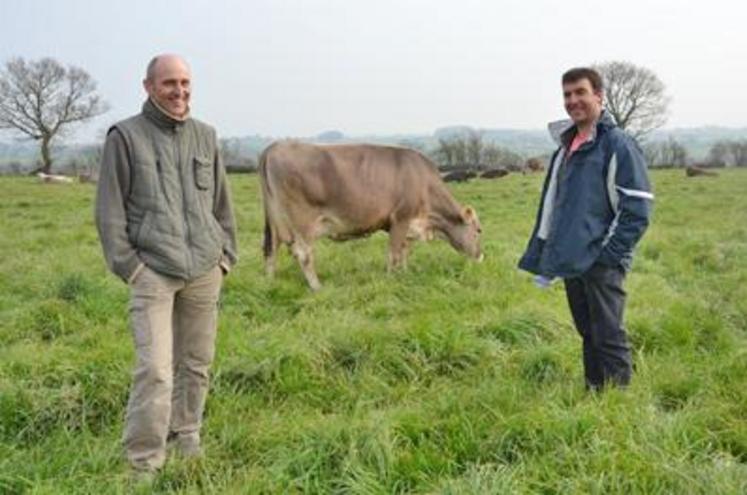 Christian Le Brun et Denis Malinge ont fait le choix de la race brune il y a une quinzaine d’années.