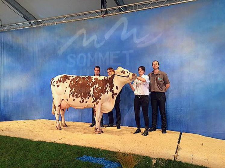 Femina, du Gaec Piou-Toublanc, remporte le prix de grande championne au Sommet de l’élevage, la semaine dernière.