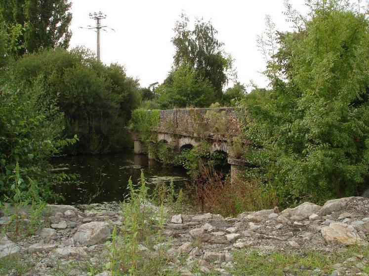 Le nombre de captures a notamment augmenté sur les communes riveraines de l’Oudon.