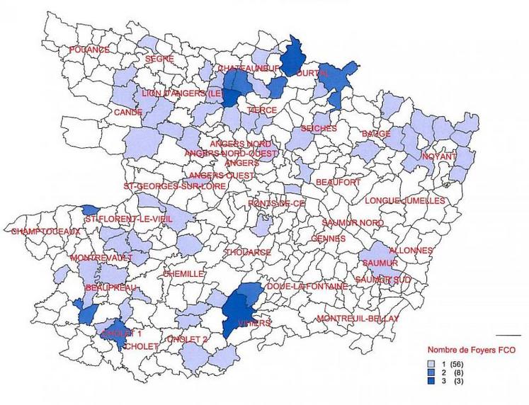 Carte des foyers FCO en Maine-et-Loire au 22 août