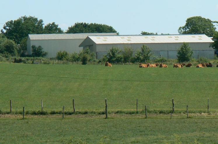 Depuis l'an 2000, le revenu agricole ne décolle pas.