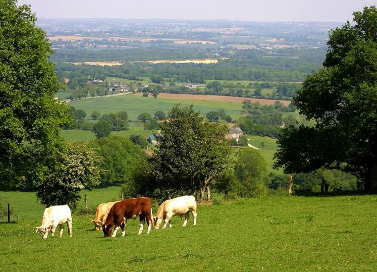 “Les éleveurs laitiers et les éleveurs qui engraissent leurs animaux seront les grands perdants de cette future Pac, avec des baisses de soutiens qui vont de moins 15 à moins 40 % à l’horizon 2019”, s’inquiètent FRSEA et JA Pays de la Loire dans un communiqué de presse.
