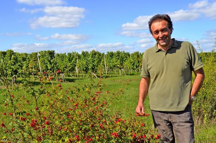 Christophe Daviau, à Brissac-Quincé, a planté 10 kilomètres de haies.