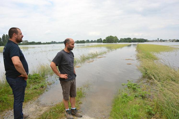 Sur cette parcelle exploitée par le Gaec de Cordez, 250 000 plants de dahlias Label Rouge sous l'eau.