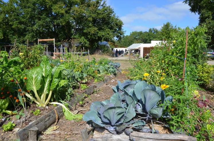 Le jardin de Saint-Barthélémy-d’Anjou est le support d’un chantier d’insertion.