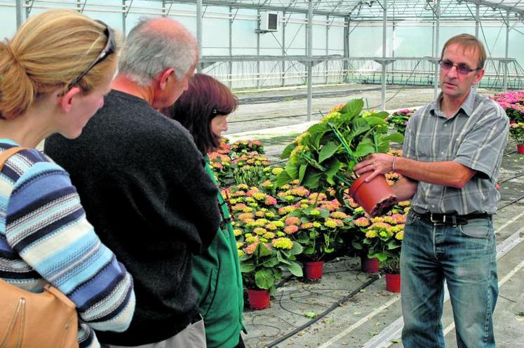 L’entreprise d’Eric Fargetton fournit le tournoi de tennis de Wimbledon en hortensias.