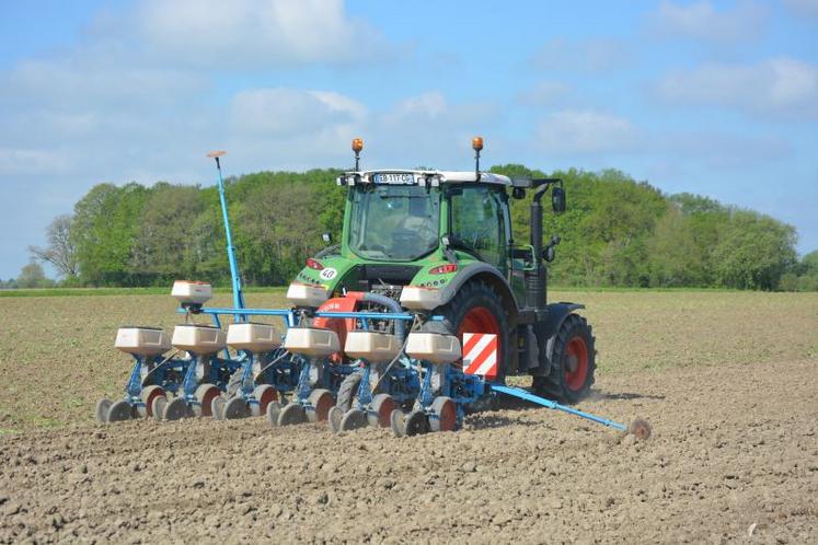 Mardi 24 avril, les derniers hectares de tournesol de l'EARL La Commanderie, située à Luigné, ont été semés, profitant des conditions météorologiques favorables de cette semaine.