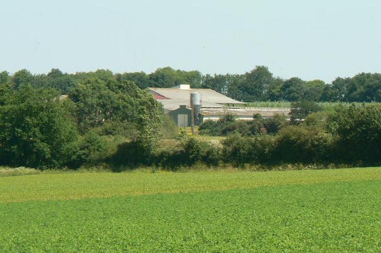 Un chiffre qui a été annoncé par Gaec et Société, le 23 juin lors de son congrès annuel à Laon (02).