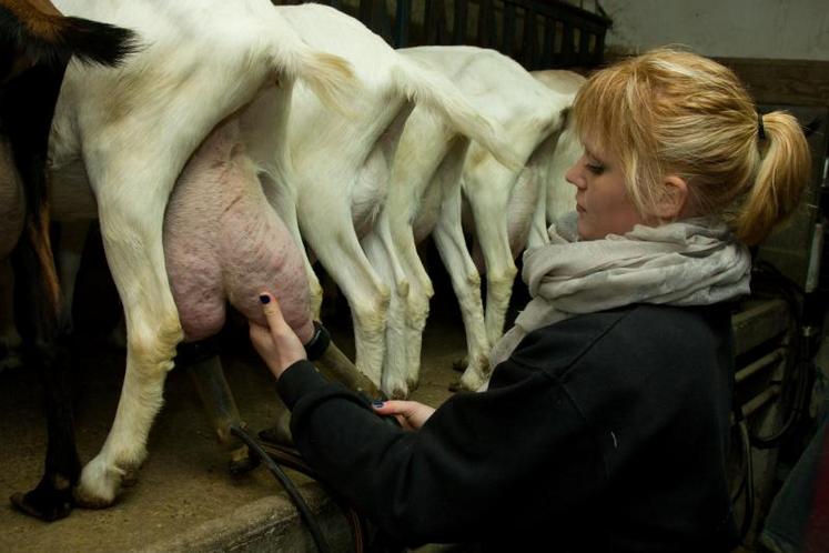 Statut, représentativité, formation et reconnaissance de leur métier : les agricultrices ont fait du chemin, mais la victoire est loin d’être actée.