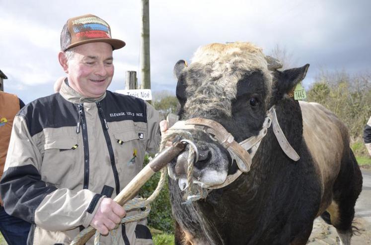 Dominique Brémond fait concourir son taureau Garfield au Salon de l'Agriculture.