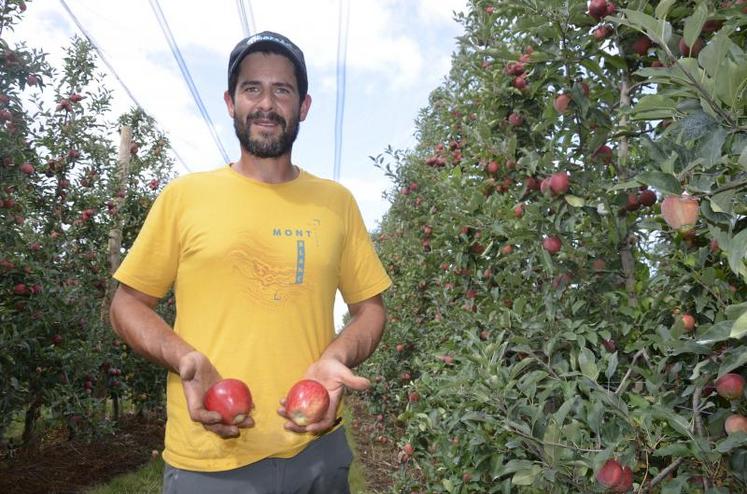 Sébastien Blanchet livre ses fruits  (environ 600 tonnes) aux Vergers d’Anjou.