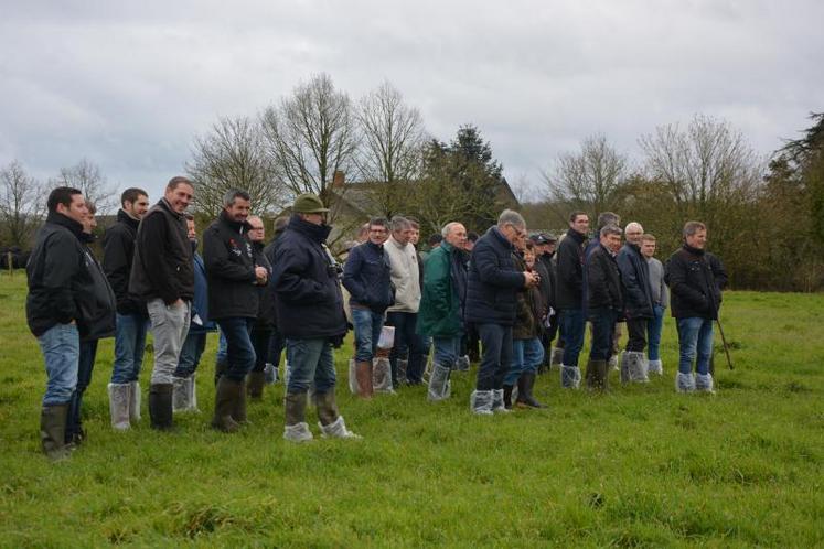 Les éleveurs ont visité le Gaec de Beauchêne, à La Cornuaille.