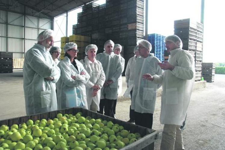 Eric Sarazin, gérant de l’entreprise les Vergers de la Cochetière, a reçu vendredi le préfet de Maine-et-Loire. Faute de débouchés, des pommes sont laissées dans le verger, entre 10 et 20 % de la production selon les variétés.