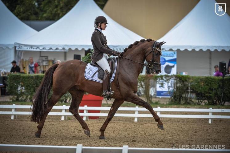 First Step Valentin est le nouveau champion de France de dressage dans la catégorie des jeunes chevaux de 6 ans.