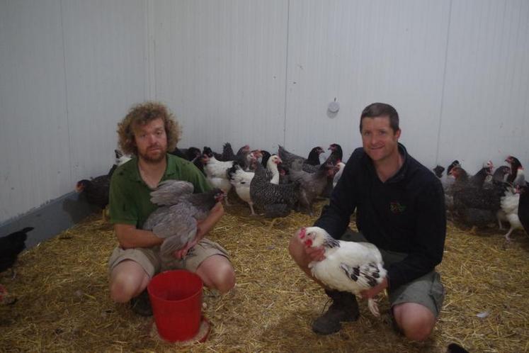 Jérôme Froger, à droite, et son frère Nicolas Froger, à gauche. Dans leurs bras, une poule sussex et une poule cendrée.