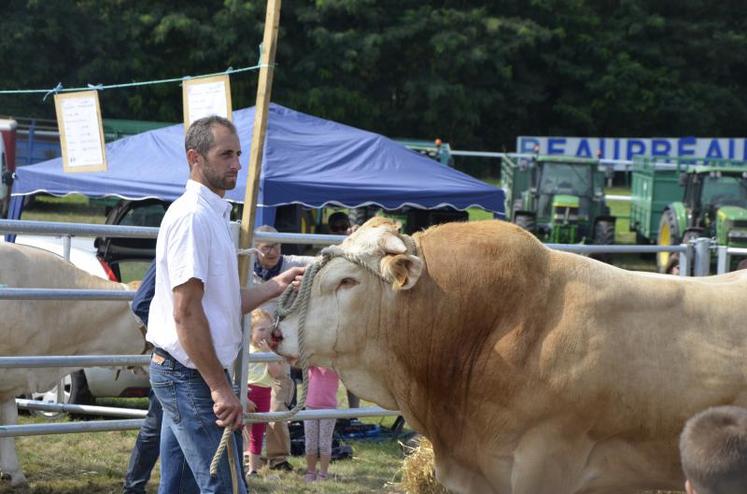 L'élevage Rothureau, de Beaupréau-en-Mauges, a été beaucoup primé lors du concours, avec le prix d'élevage et deux prix de championnat.