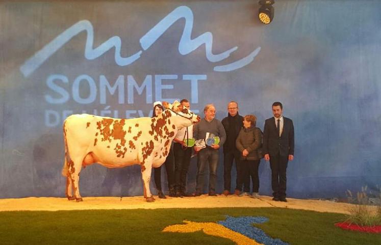 Jersey, vache normande championne jeune, a tout pour plaire : « elle possède beaucoup de caractère laitier, une bonne mamelle, de bons aplombs et un bon développement squelettique ».