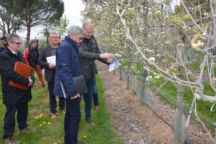 Pascal Pineau, président du SDPF, explique au préfet la technique du goutte à goutte mise en place aux Vergers de Mané. Cette technique permet de réduire de plus de 40 % la consommation d’eau en comparaison avec l’aspersion.