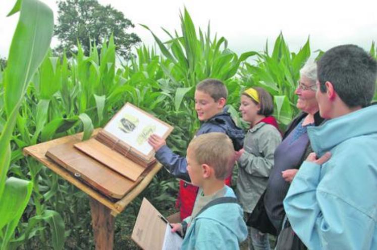 Le labyrinthe de la ferme pédagogique de la Petite Dube attire chaque année de nombreux scolaires.