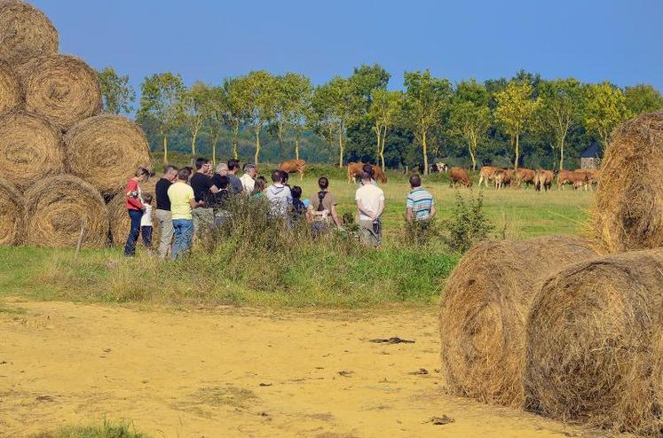 Animation Interbev Pays de la Loire pour découvrir l’élevage en jouant.