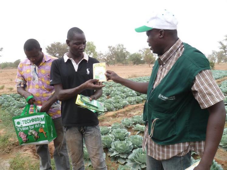 Des maraîchers au Burkina Faso, clients de Technisem, entreprise basée à Longué-Jumelles.