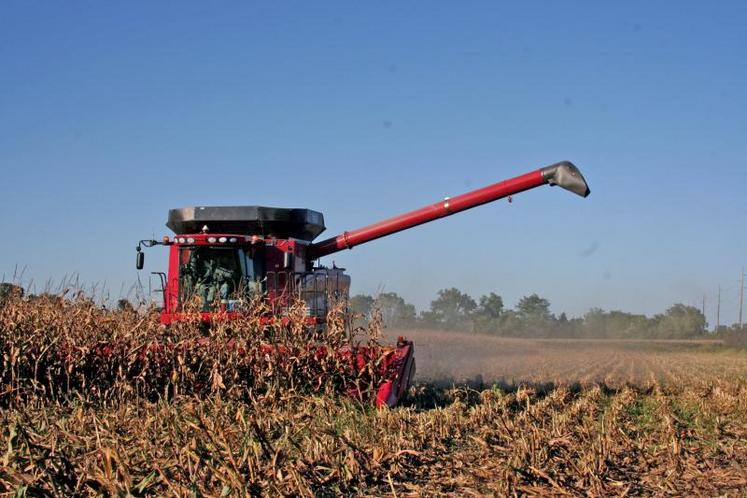 Aux États-Unis, la sécheresse a fait chuter les rendements de maïs.