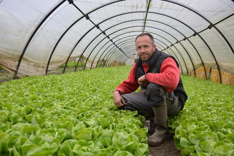 Sébastien Breau, maraîcher à Villebernier, est aussi président de la coopérative la Rosée des champs. D’avril jusqu’en novembre, l’exploitation va fournir 1 300 tonnes de salades. Puis de novembre à mars, les poireaux prendront le relais.