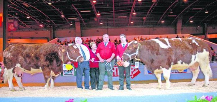 Race prim’holstein : première participation à Paris pour Jérôme Papin, éleveur de La Poitevinière. Sa vache Beausse s’est classée à la 7e place de la 1re section des vaches en 2e lactation.